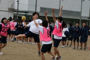 IMG_3734