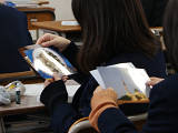 各国の写真